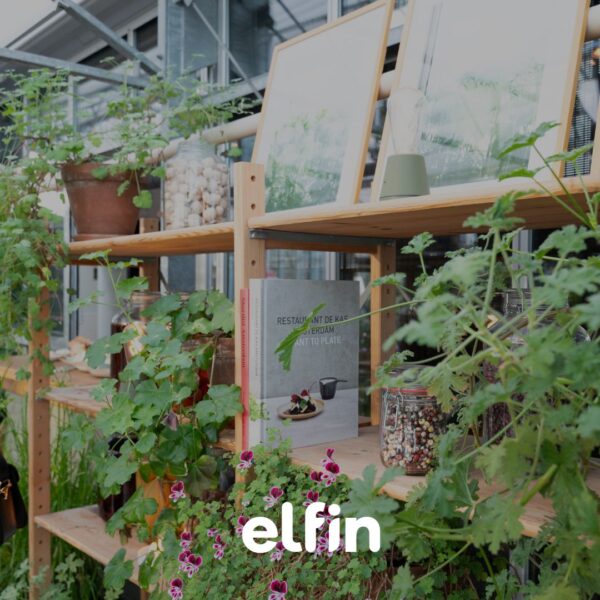 Probeer Elfin 10 weken!